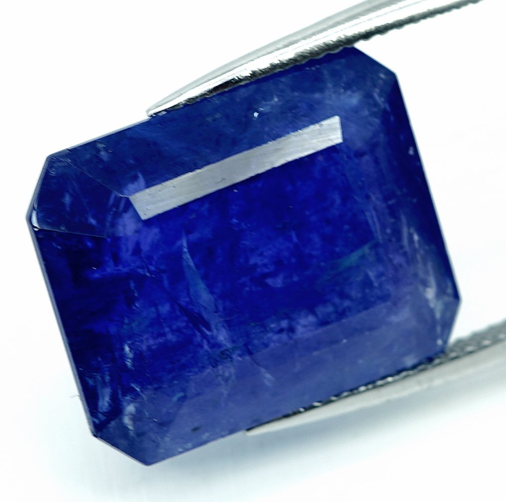 坦桑石 - 27.45 ct - 国际宝石研究院(IGI) #2.1