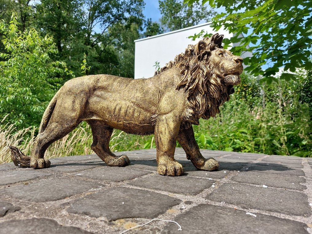 雕像, Beeld, 60 cm long statue of golden bronze lion - 32 cm - polyresin #1.0