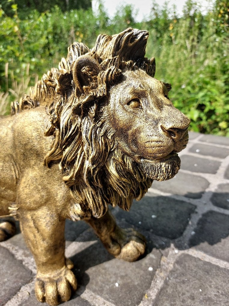 雕像, Beeld, 60 cm long statue of golden bronze lion - 32 cm - polyresin #4.3