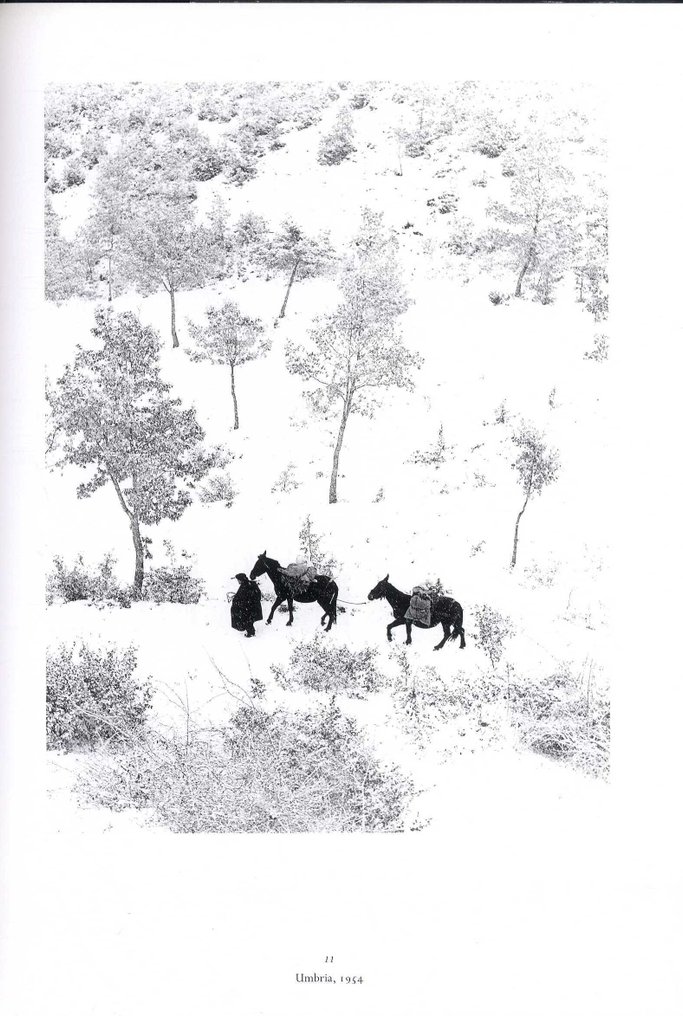 Signed; Fulvio Roiter - Master of Italian Photography - 2002 #3.2