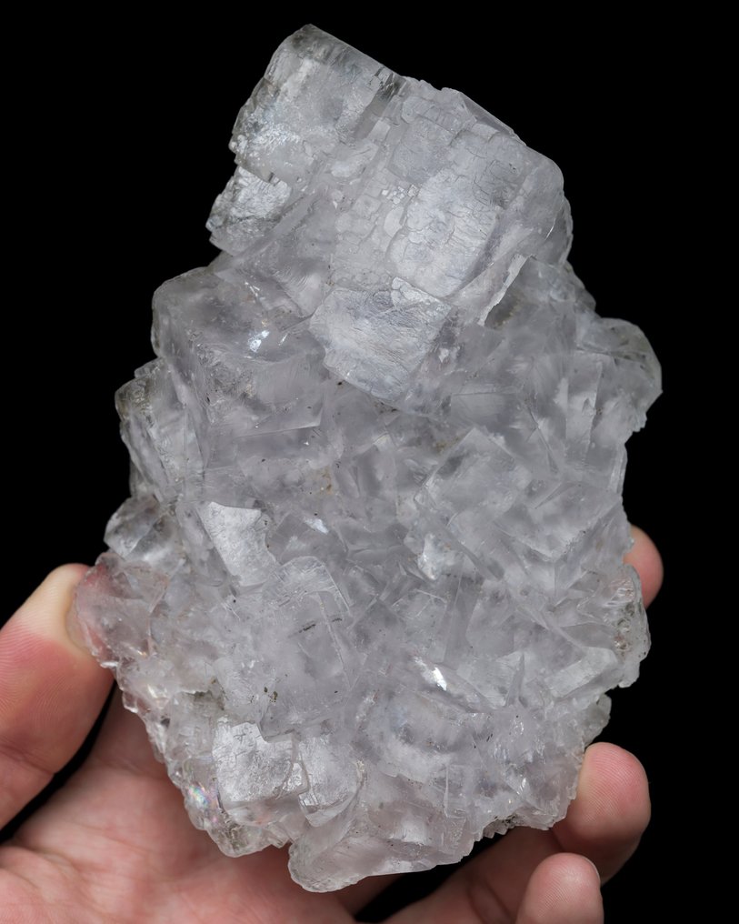 ICE clear FLUORITE from Spain (large cabinet) - Height: 11.6 cm - Width: 8.7 cm- 462 g - (1) #1.0