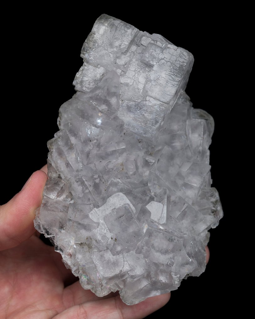 ICE clear FLUORITE from Spain (large cabinet) - Height: 11.6 cm - Width: 8.7 cm- 462 g - (1) #1.0