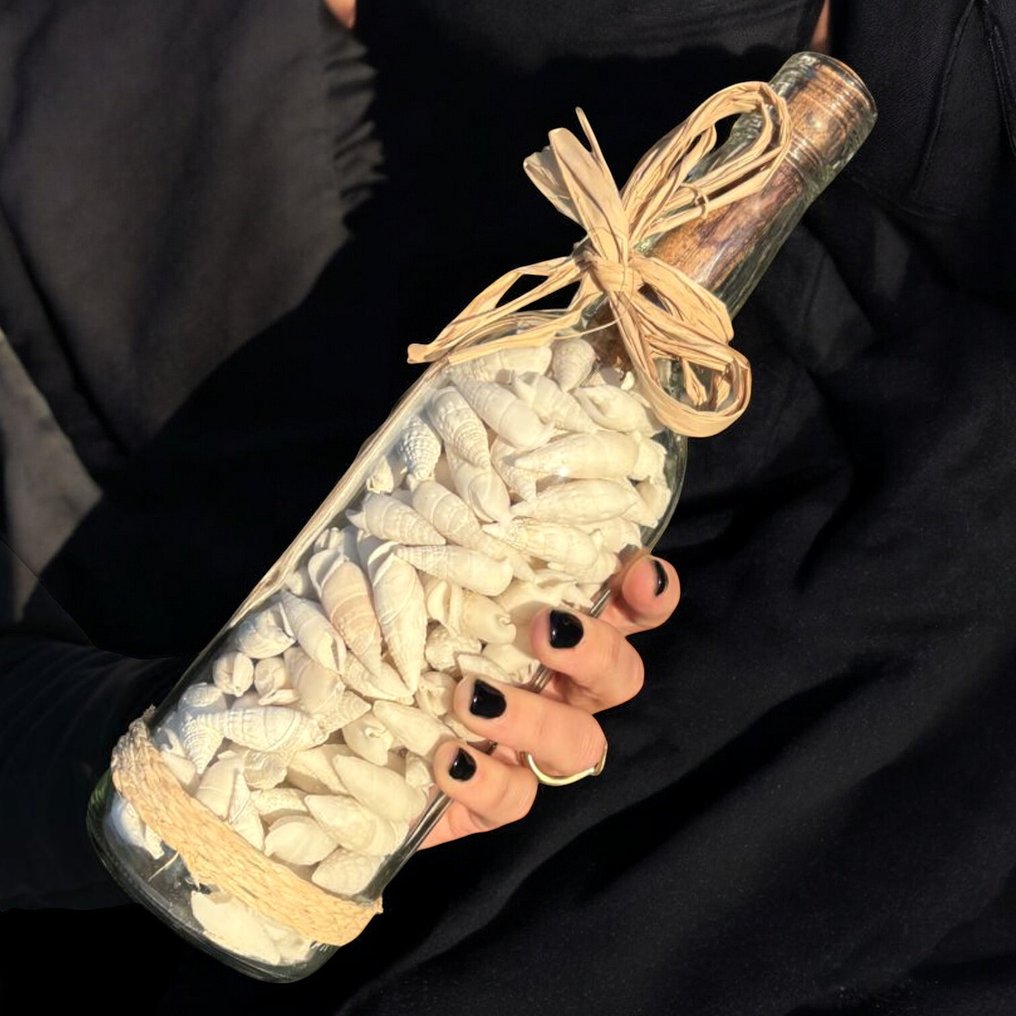 Message from the Sea - Glass Bottle with Natural Shells - Height: 28.5 mm - Width: 80 mm- 1083 g #1.0