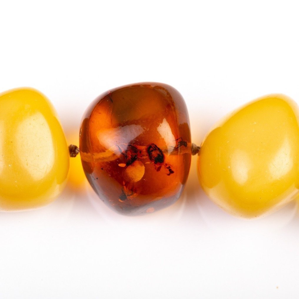 Uskomaton Baltic Amber -kaulakoru - korkealaatuinen valikoima - maito- ja läpikuultavat - Meripihka - 700 mm - 30 mm #4.3