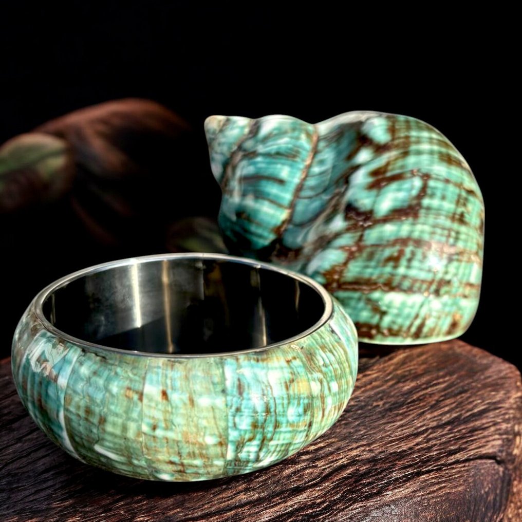 No - Reserve Steel bracelet with a Turbo Marmoratus shell mosaic - Height: 89 mm - Width: 89 mm- 70 g #4.3