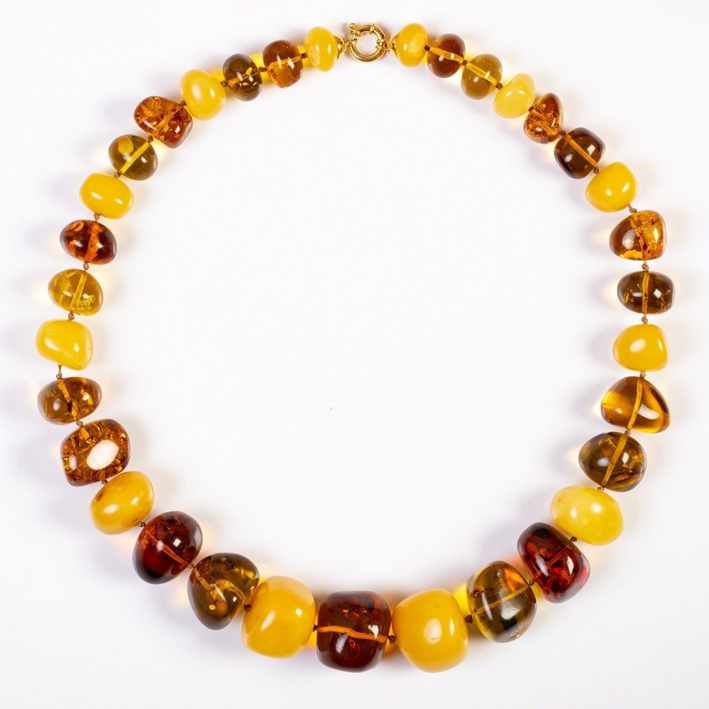 Uskomaton Baltic Amber -kaulakoru - korkealaatuinen valikoima - maito- ja läpikuultavat - Meripihka - 700 mm - 30 mm #2.1