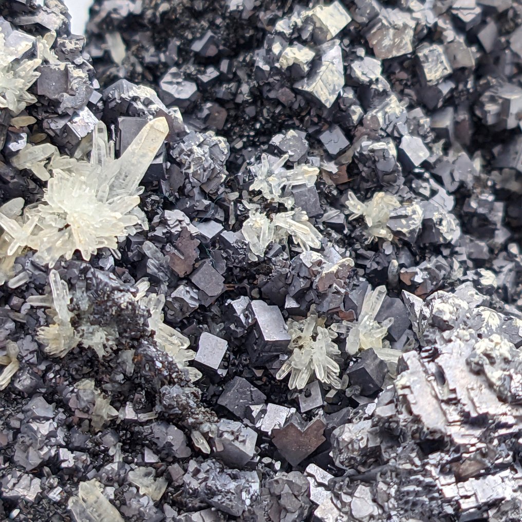 500+ cubic galena crystals and quartz, Bulgaria. Crystals on matrix - Height: 165 mm - Width: 126 mm- 1.45 kg #4.3