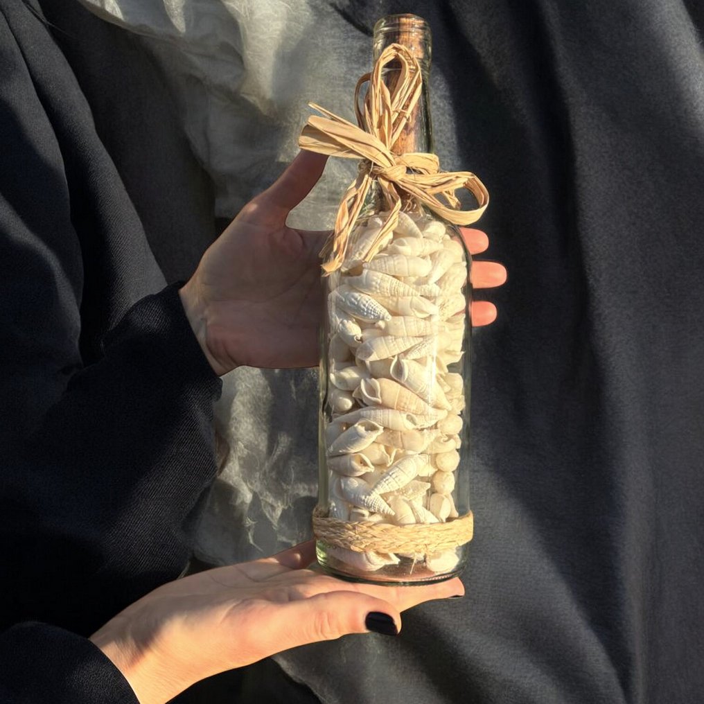 Message from the Sea - Glass Bottle with Natural Shells - Height: 28.5 mm - Width: 80 mm- 1083 g #1.0