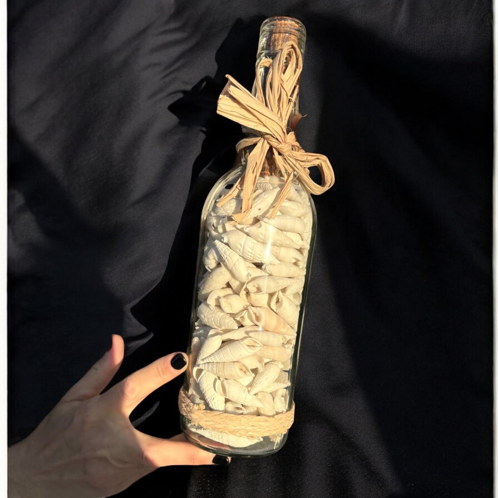 Message from the Sea - Glass Bottle with Natural Shells - Height: 28.5 mm - Width: 80 mm- 1083 g #2.1