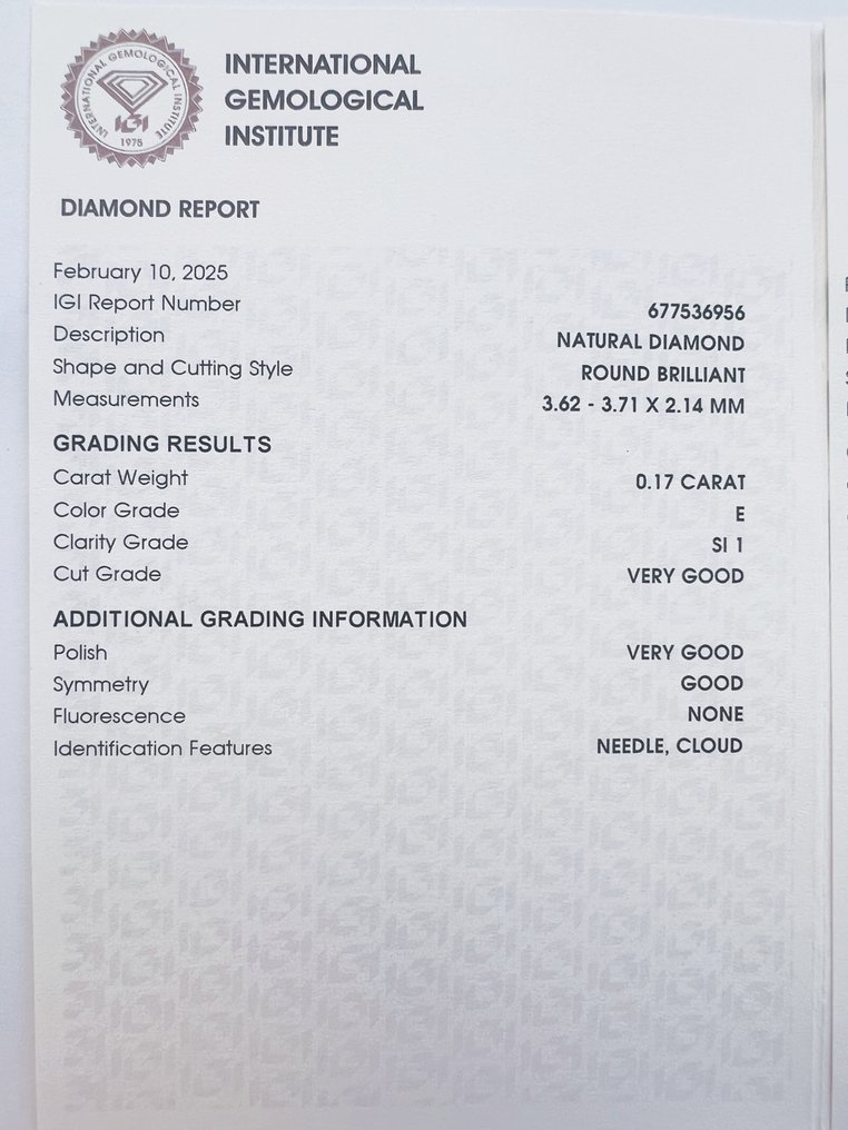 没有保留价 - 2 pcs 钻石  (天然)  - 0.32 ct - 圆形 - E - SI1 微内含一级 - 国际宝石研究院（IGI） - 匹配的对 #2.1