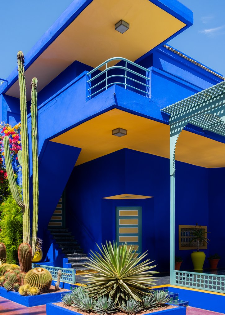 Dominik Valvo - Jardin Majorelle #4  (Marrakech 2024) XL #1.0