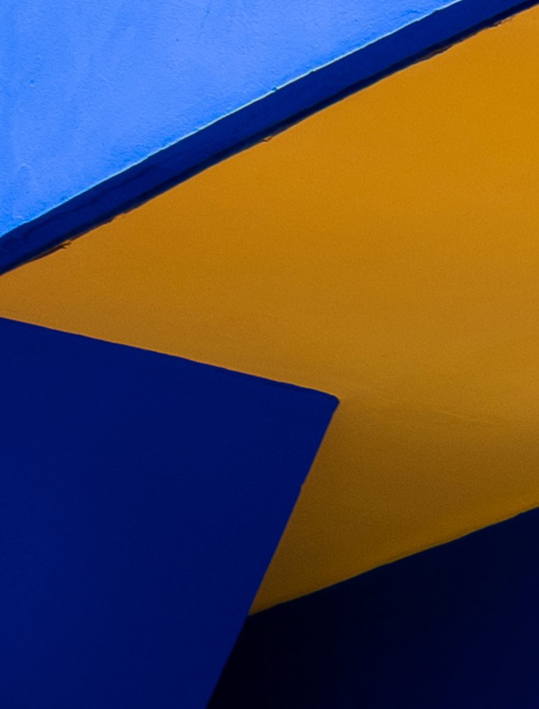 Dominik Valvo - Jardin Majorelle #4  (Marrakech 2024) XL #3.2