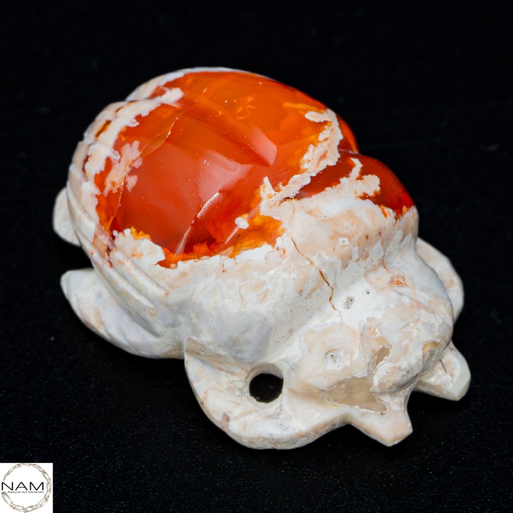 Affascinante scarabeo in opale di fuoco messicano 29,8 carati- 5.96 g #3.2