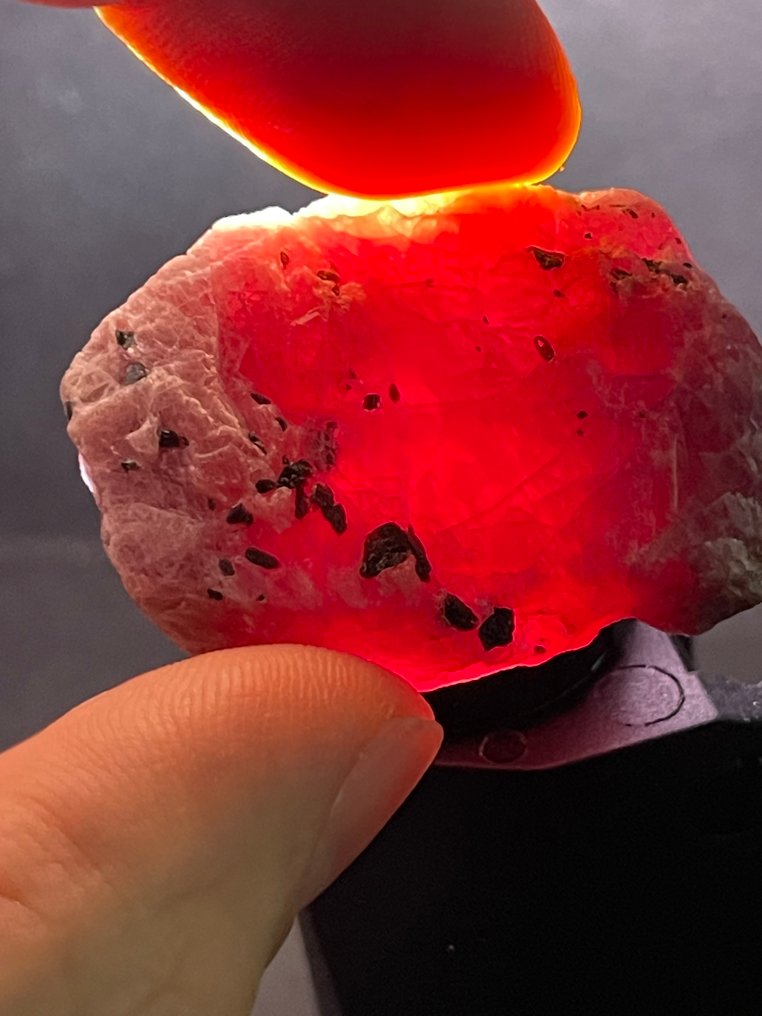 Ruby 粗糙的。卓越的莫三比克血紅寶石水晶。高品質、透明的水晶。 112 克拉 - 高度: 38 mm - 闊度: 28 mm- 22.4 g #2.1