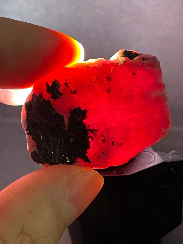 Ruby 粗糙的。卓越的莫三比克血紅寶石水晶。高品質、透明的水晶。 112 克拉 - 高度: 38 mm - 闊度: 28 mm- 22.4 g #4.3