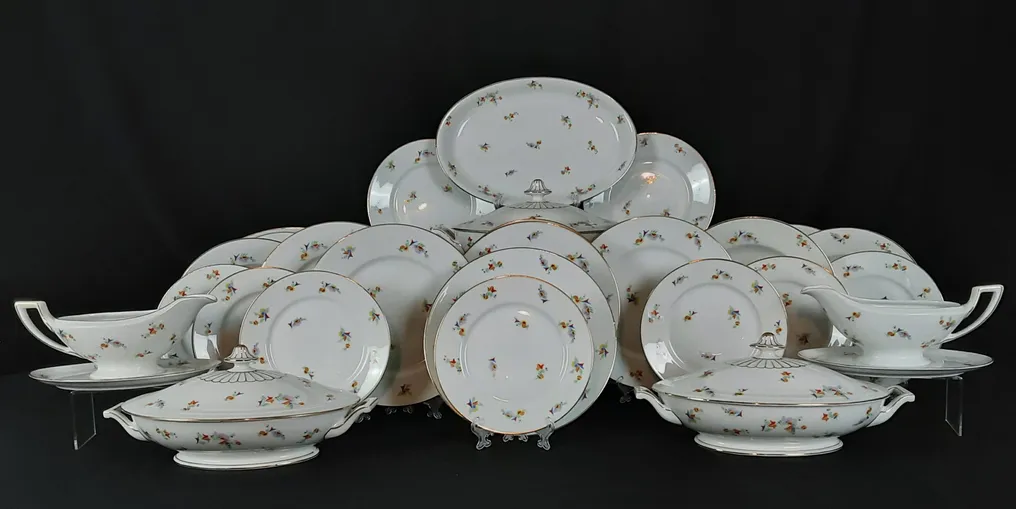 Bavaria - Thomas Tempte - Table service for 12 (36) - 3980/76 - Bone china - Limited Edition 76/3980 #2.1
