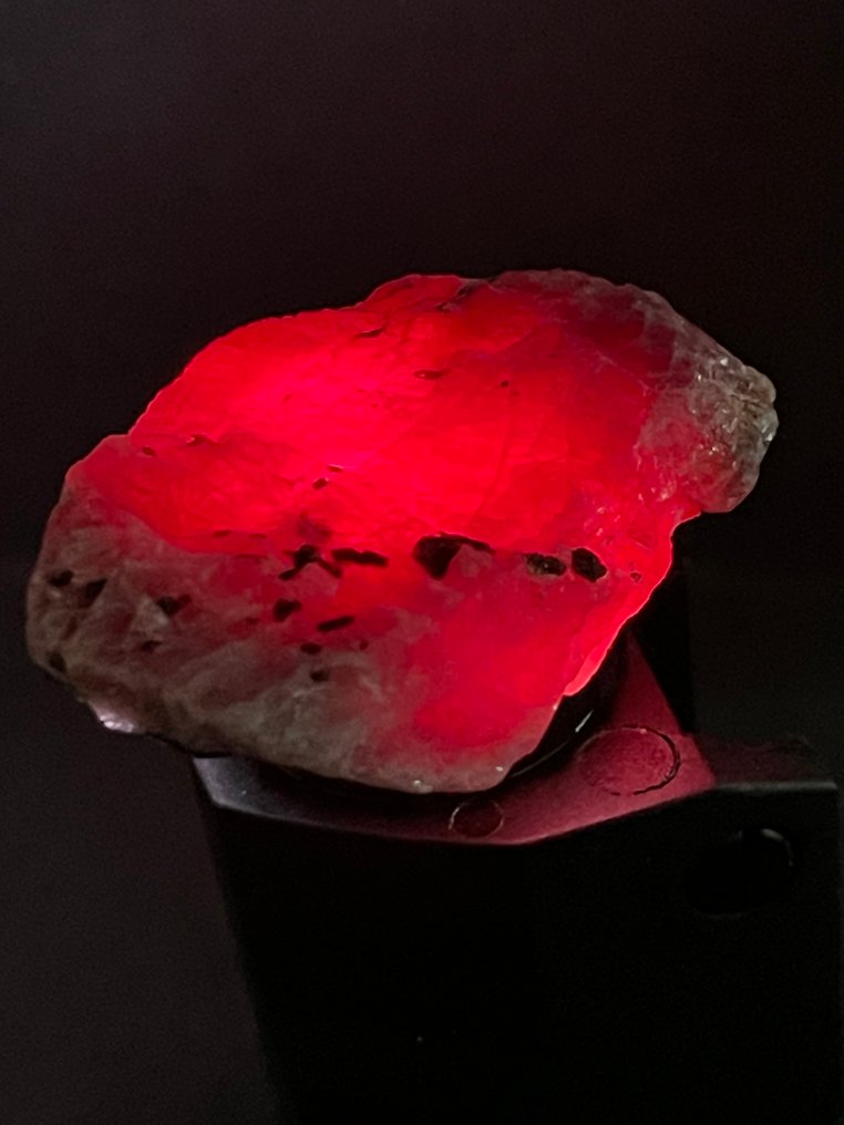 Ruby 粗糙的。卓越的莫三比克血紅寶石水晶。高品質、透明的水晶。 112 克拉 - 高度: 38 mm - 闊度: 28 mm- 22.4 g #1.0