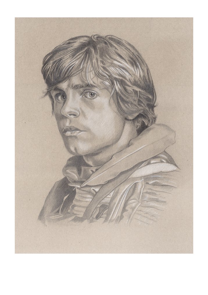 Miguel Ángel Alfaro Rey - Luke Skywalker pilot #1.0