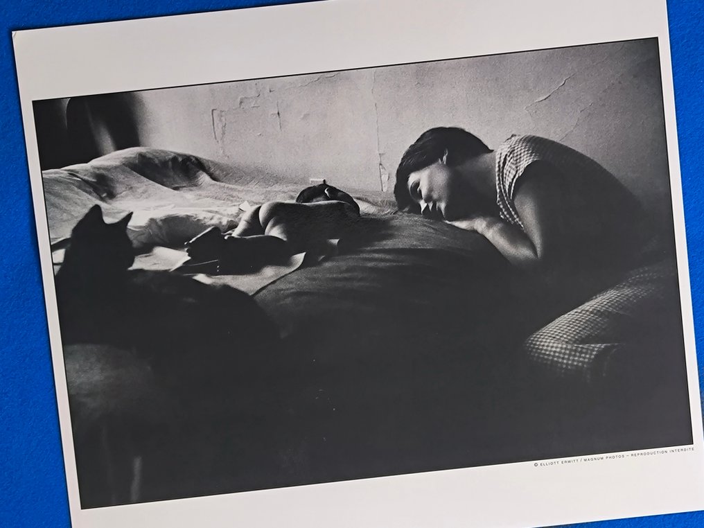 Elliot Erwitt - New York, 1953 #4.3