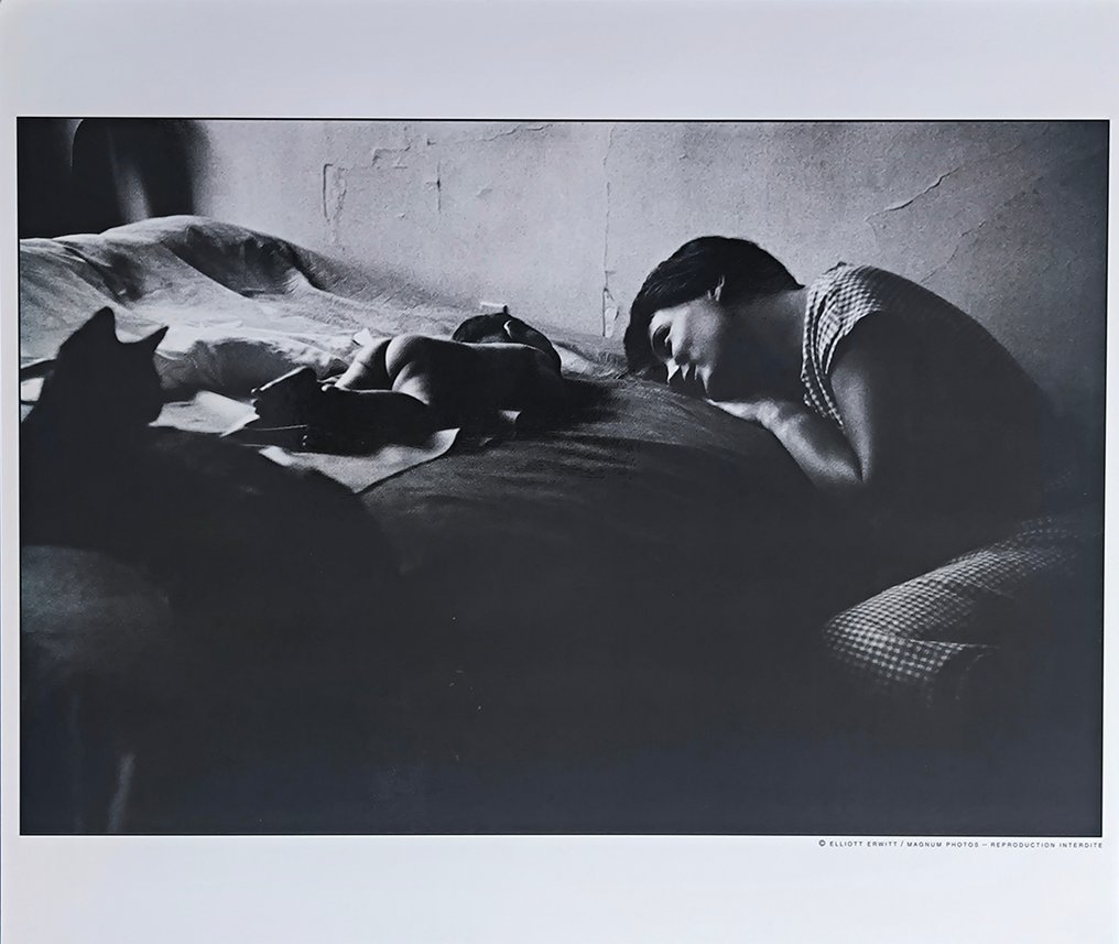 Elliot Erwitt - New York, 1953 #1.0