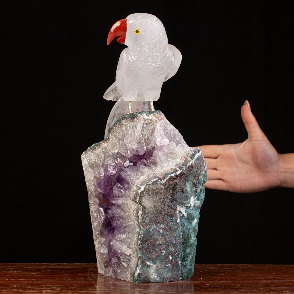 Lintujen kokoelma: Siivekkäiden loisto Täytetyn eläimen koko kehon jalusta - Collared Parakeet Sculpture in Quartz with Amethyst Base. - 360 mm - 200 mm - 160 mm - 1 #1.0