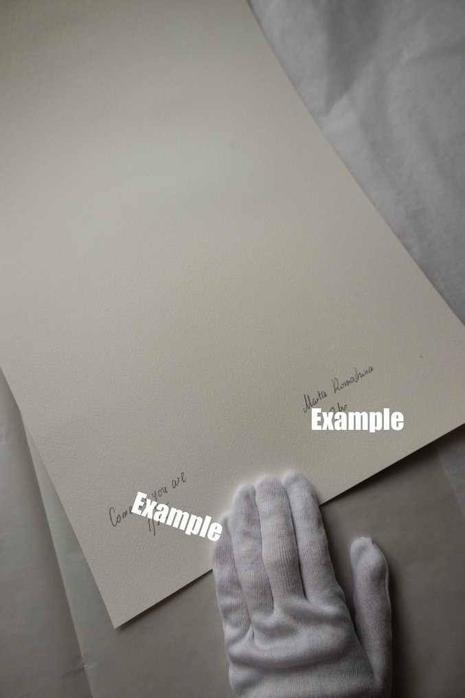 Marta Romashina - Fading Memories #2.1