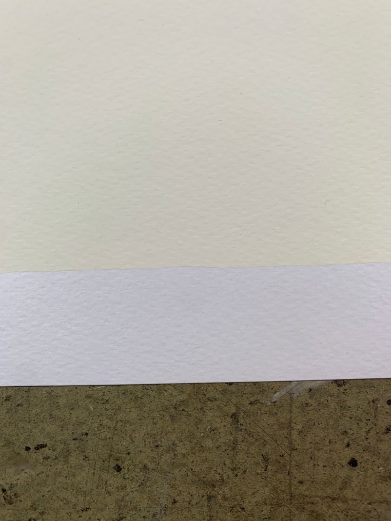 Amedeo Modigliani (after) - Nudo feminile di fronte - Serigraph on strong paper - 100 x 70 cm #4.3