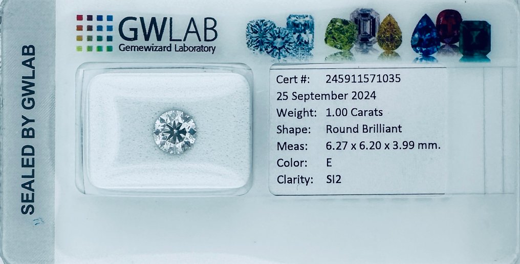1 pcs Timantti  (Luonnollinen)  - 1.00 ct - Pyöreä - E - SI2 - Gemewizardin gemologinen laboratorio (GWLab) - ( LUONNOLLINEN - VG/EX/EX ) #2.1