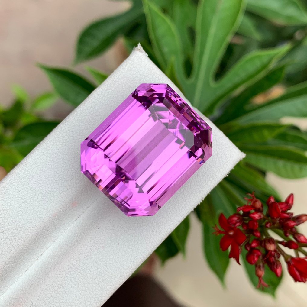 1 pcs 粉色, 紫色 紫鋰輝石 - 73.92 ct - 國際有色寶石協會 (ICA GemLab) - 粉紫色的昆士特 #4.3
