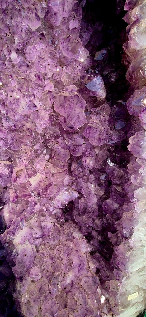 Amethyst 晶洞 - 高度: 126 cm - 闊度: 40 cm- 135.5 kg - (1) #4.3