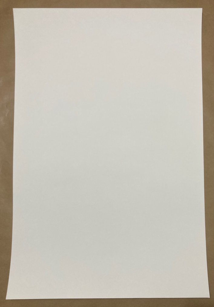 Enki Bilal (1951) & Invader (1969) - Portrait Invader par Enki Bilal #4.3