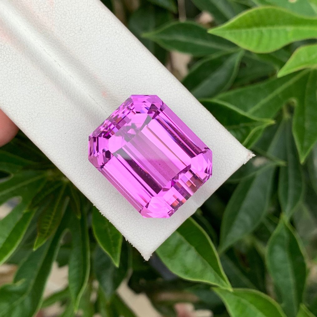 1 pcs 粉色, 紫色 紫鋰輝石 - 73.92 ct - 國際有色寶石協會 (ICA GemLab) - 粉紫色的昆士特 #3.2