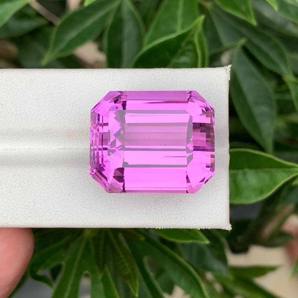 1 pcs 粉色, 紫色 紫鋰輝石 - 73.92 ct - 國際有色寶石協會 (ICA GemLab) - 粉紫色的昆士特 #2.1