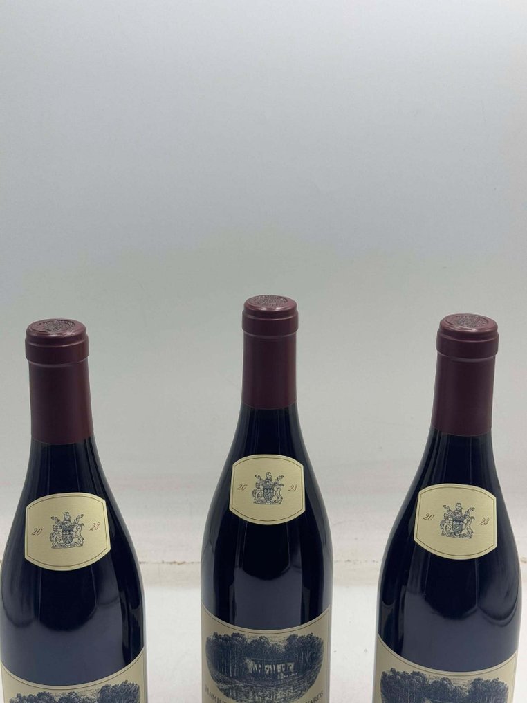 2023 Hamilton Russell Vineyards Pinot Noir - Hemel en Aarde - 3 Bottles (0.75L) #3.2