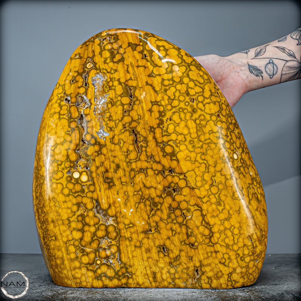 非常罕见的4脉眼玉髓晶体自由形 来自马达加斯加- 16733.89 g #4.3