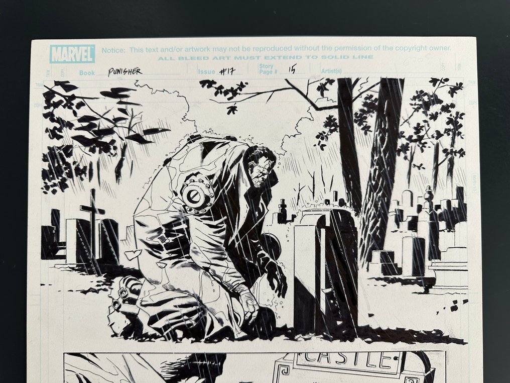 Boschi, Roland - 1 Original page - Punisher #17 - Page 15 - 2009 #1.0