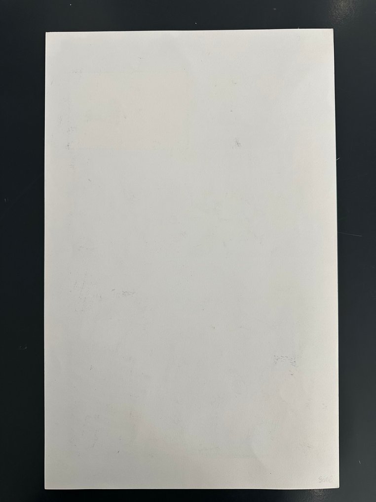 Boschi, Roland - 1 Original page - Punisher #17 - Page 14 - 2009 #3.2