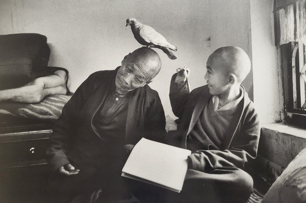 Martine Franck (1938-2012) - Monastère bouddhiste, Népal, 1996 #1.0