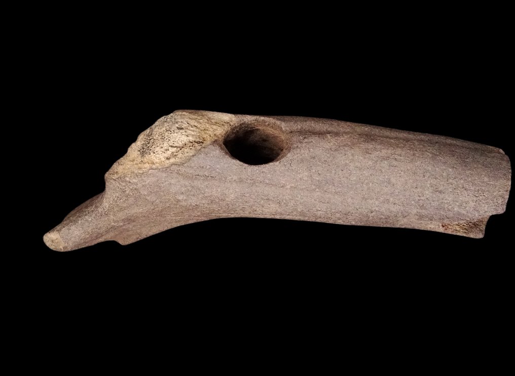 新石器时代 非常稀有的骨制镰刀锤子,经过雕刻和打磨 - 在德国赫特林根发现 #4.3