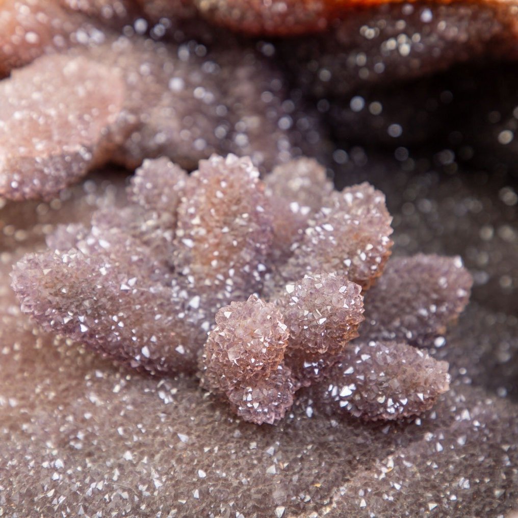 Beautiful and exclusive large agate geode Exclusive Geode Agate "Treasure Box" - Height: 63 cm - Width: 58 cm- 67.6 kg #2.1