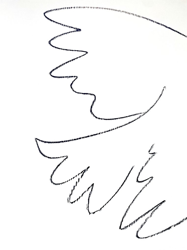 Pablo Picasso (after) - Colombe - Offset Lithography - M&S licensed print ** NO RESERVE ** #2.1