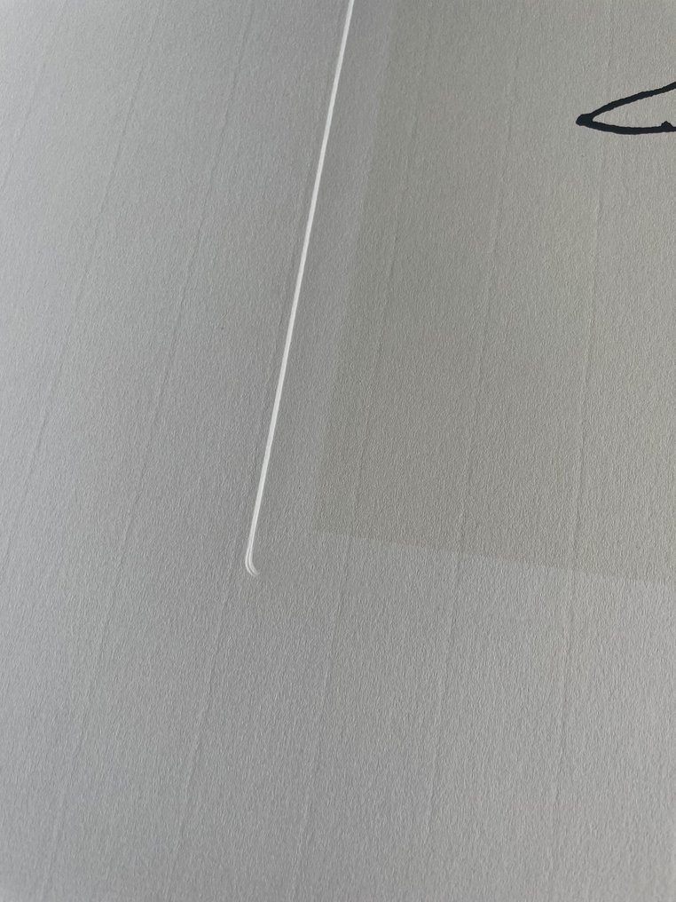 Pablo Picasso (after) - (1881-1973), Le Chien,1907, Copyright 2000 Succession Pablo Picasso SOFAM. Printed in Italy #4.3