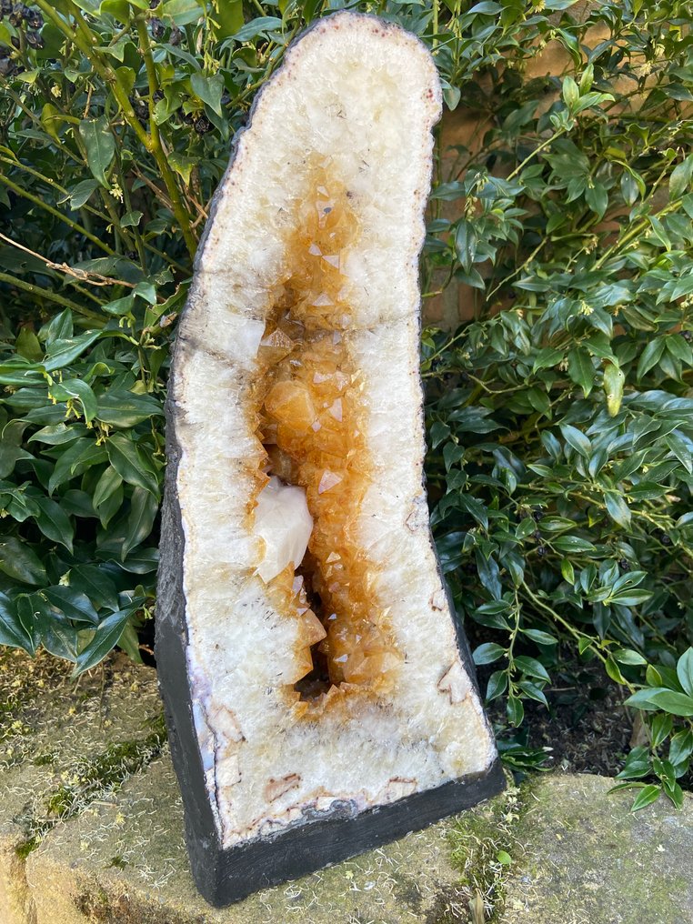 Citrine top quality!! Geode - Height: 48 cm - Width: 21 cm- 17 kg - (1) #1.0