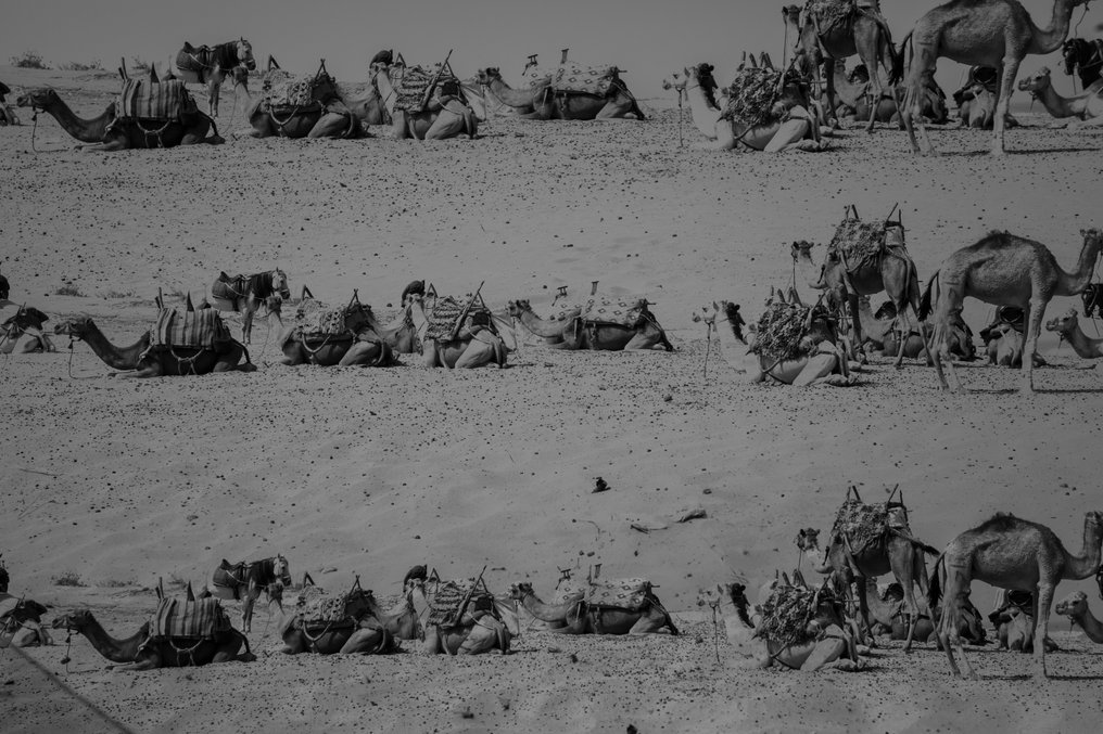 Ben Dauchez - Maroc  Surimpression # 1 #1.0