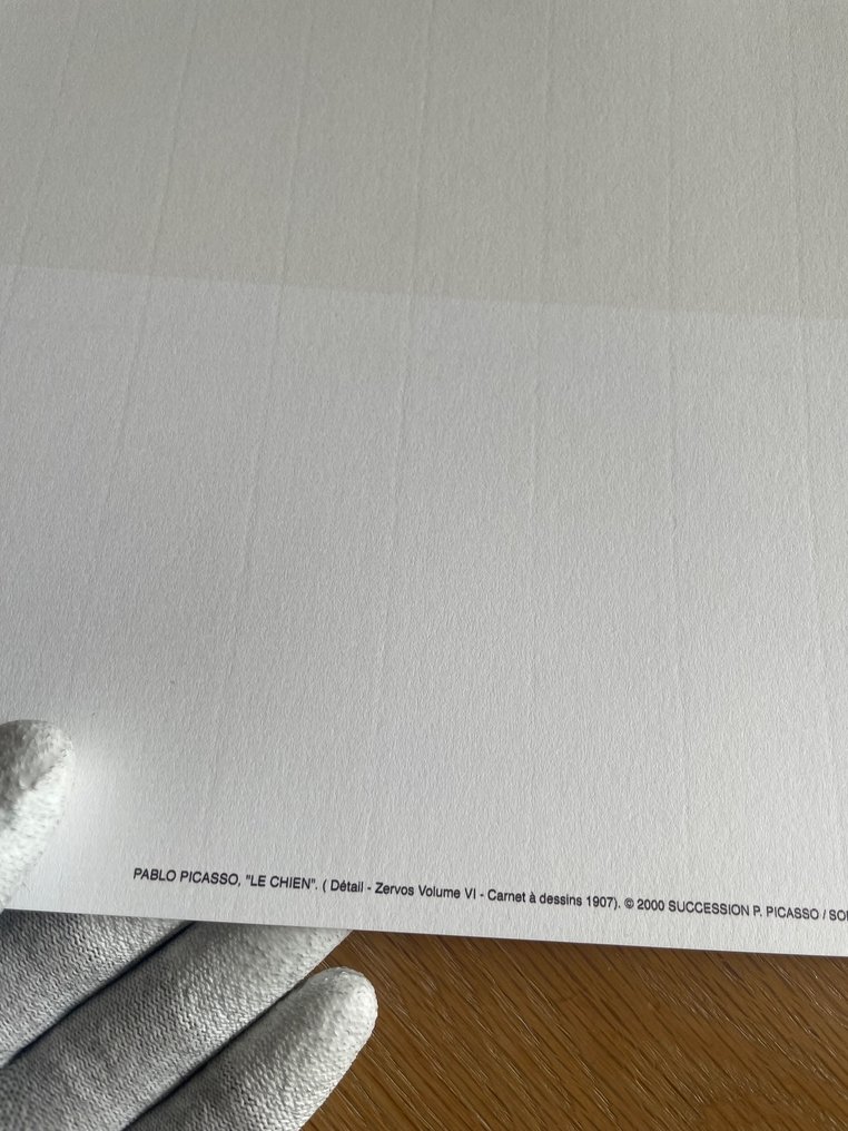 Pablo Picasso (after) - (1881-1973), Le Chien,1907, Copyright 2000 Succession Pablo Picasso SOFAM. Printed in Italy #1.0