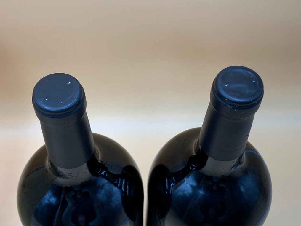 2018 El Enemigo " Cabernet Franc" - 门多萨 - 2 Magnums (1.5L) #2.1