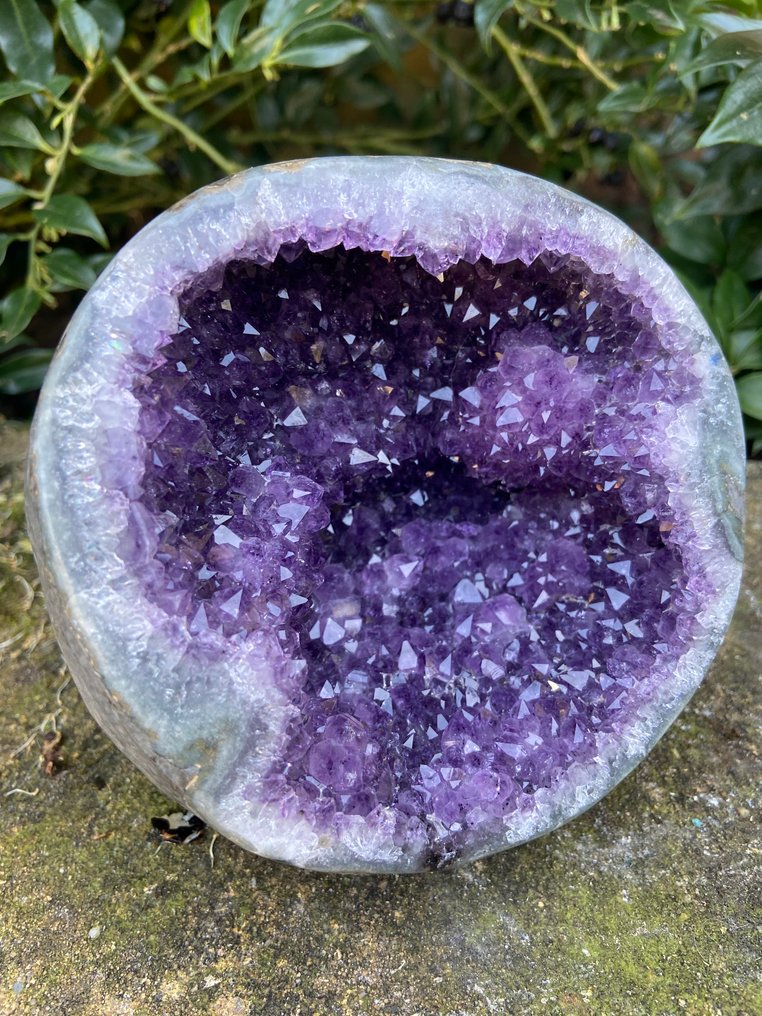 Amethyst Geode top quality!! - Height: 12 cm - Width: 13 cm- 1600 g - (1) #2.1