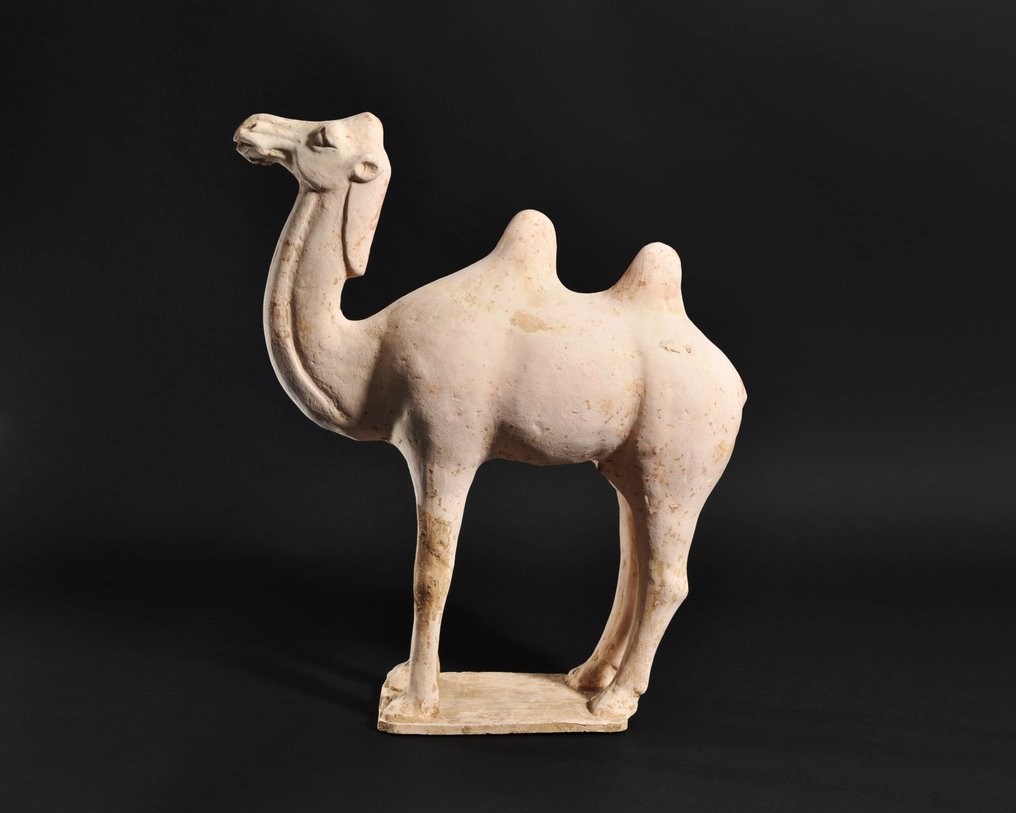 Ancient Chinese Terracotta Tang Dynasty Camel Figure with TL Test - 33.8 cm #1.0