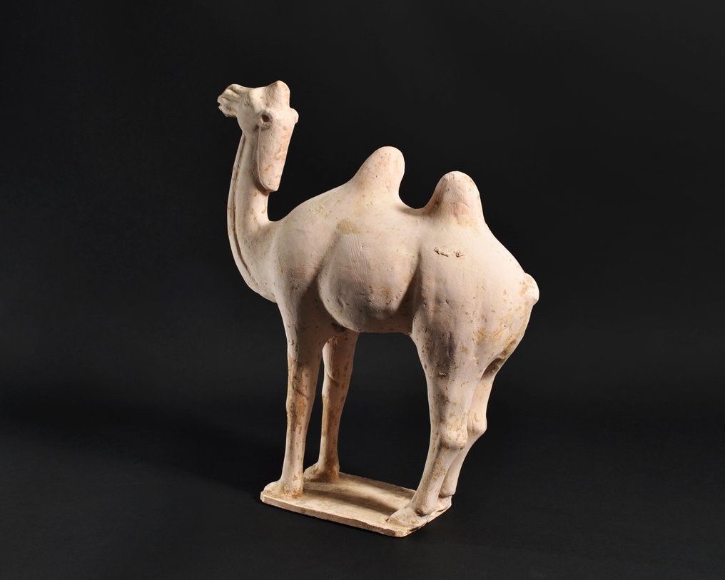Ancient Chinese Terracotta Tang Dynasty Camel Figure with TL Test - 33.8 cm #2.1