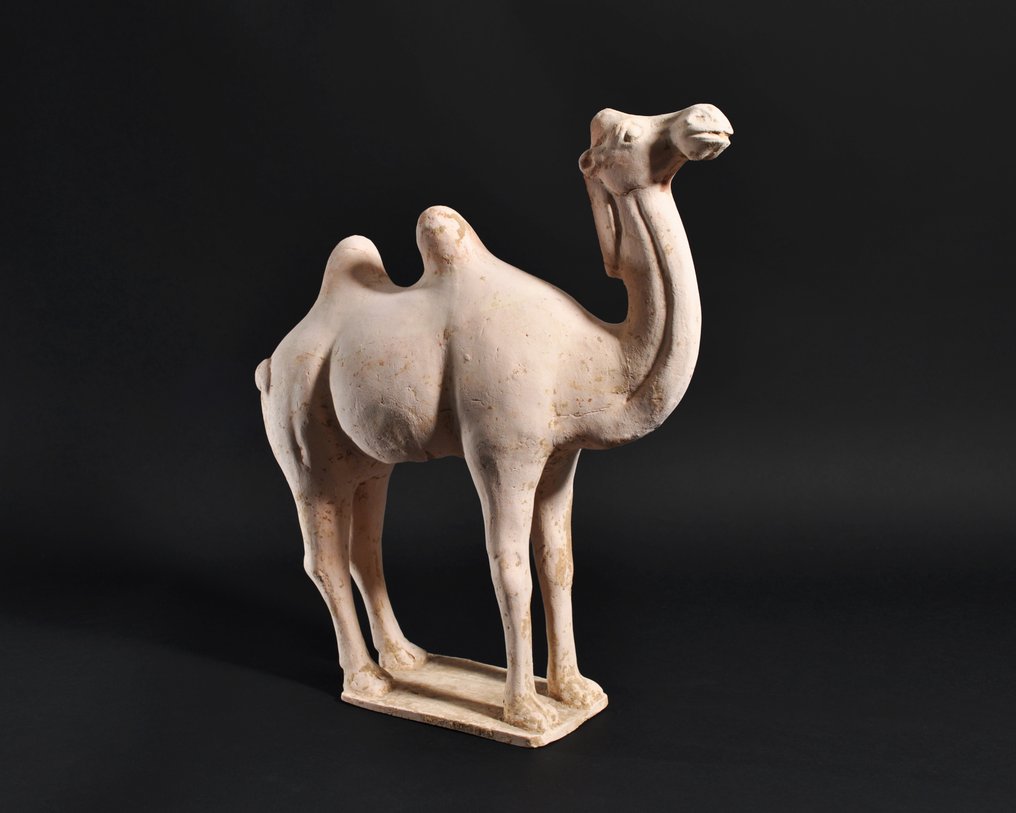 Ancient Chinese Terracotta Tang Dynasty Camel Figure with TL Test - 33.8 cm #1.0